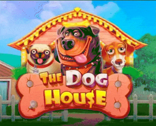 play The Dog House in spinfin casino
