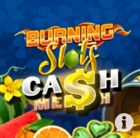 play Burning Slots in spinfin casino